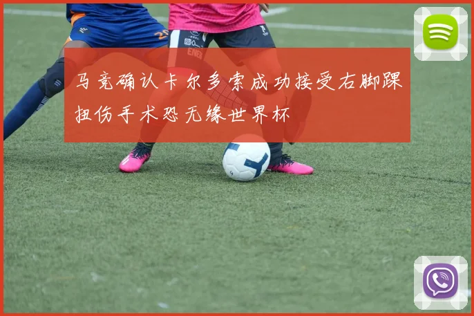马竞确认卡尔多索成功接受右脚踝扭伤手术恐无缘世界杯
